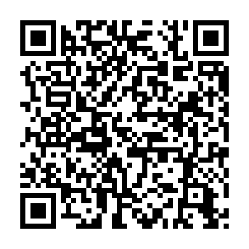 QR code for plate NYN 493