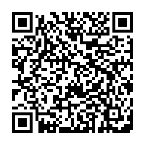 QR code for NYR 029