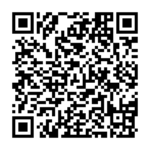 QR code for plate NYZ 285