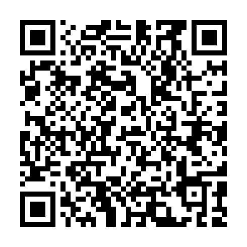 QR code for NZJ 411