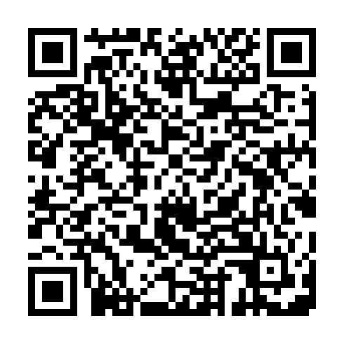 QR code for OIG 339