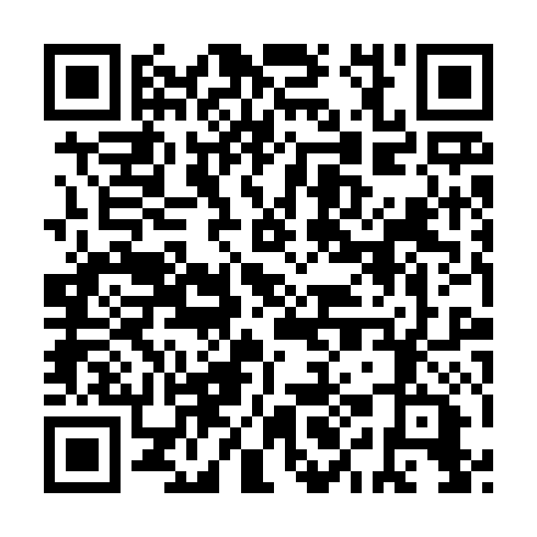 QR code for plate OIN 500
