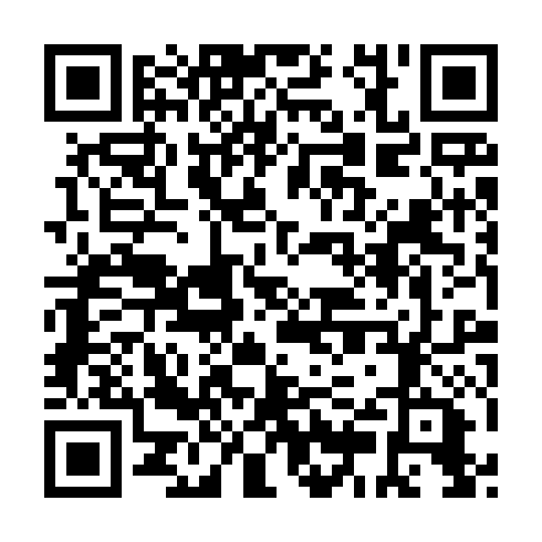 QR code for plate OWW 500