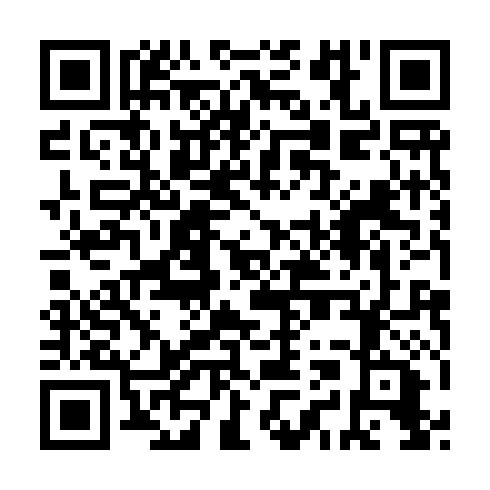 QR code for PAG 919