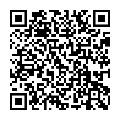 QR code for PAL339