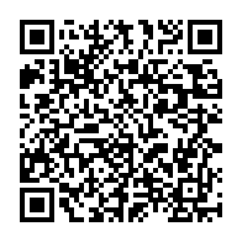 QR code for PAL767