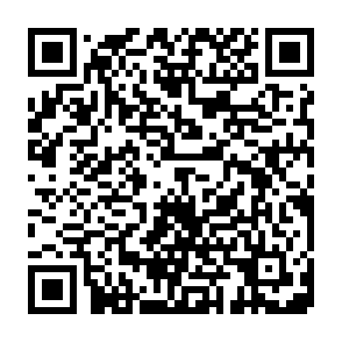 QR code for PAS 196