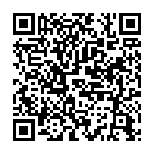 QR code for plate PAT 488