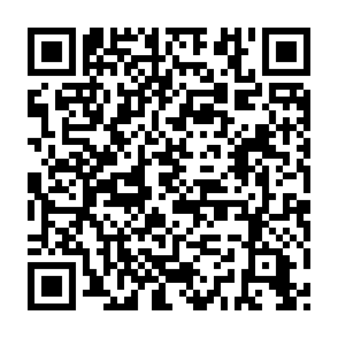 QR code for PAY 917