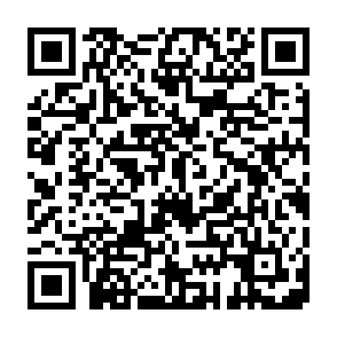 QR code for PDV 419