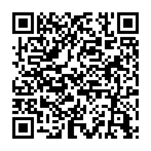 QR code for PEP 541