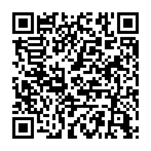 QR code for PFN913