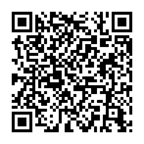 QR code for plate PGI 493