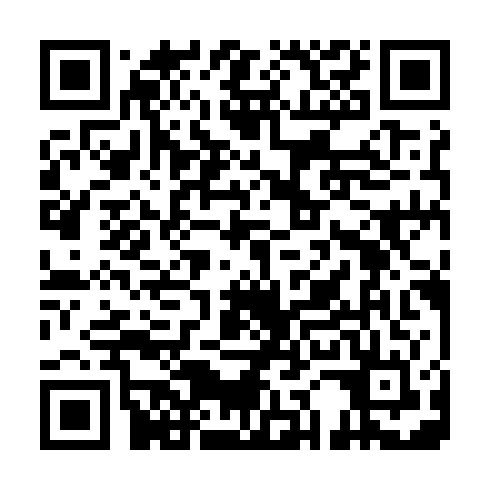 QR code for PGO596