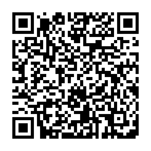 QR code for PIA 953