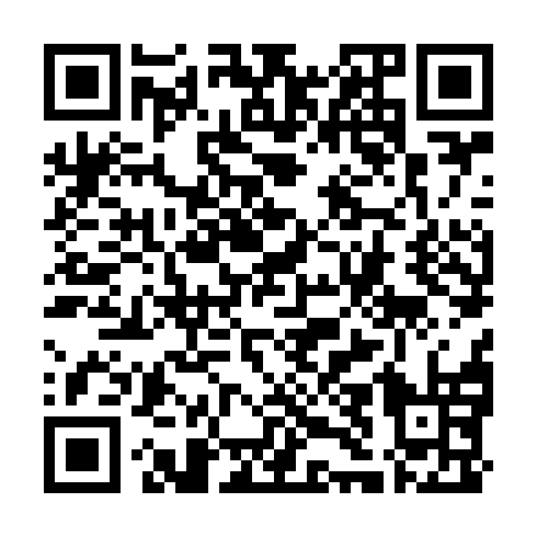 QR code for PIL 161