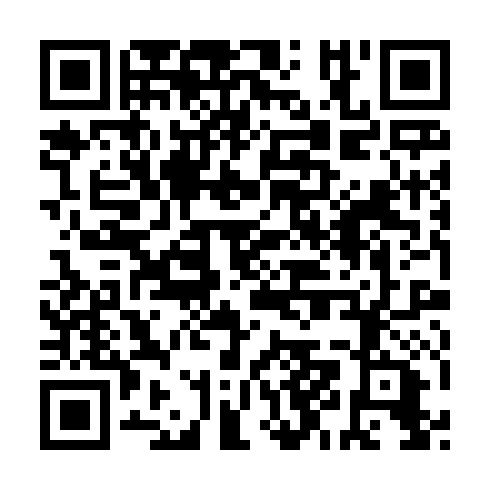 QR code for PJG 384