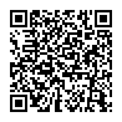 QR code for plate PLS 991