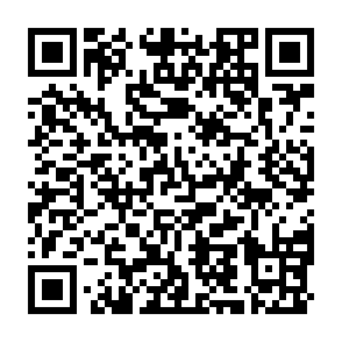 QR code for plate PMN 381