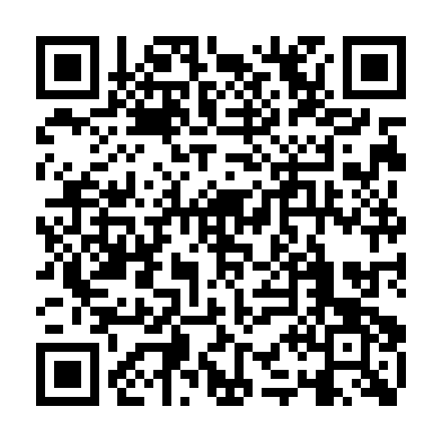 QR code for PMN383