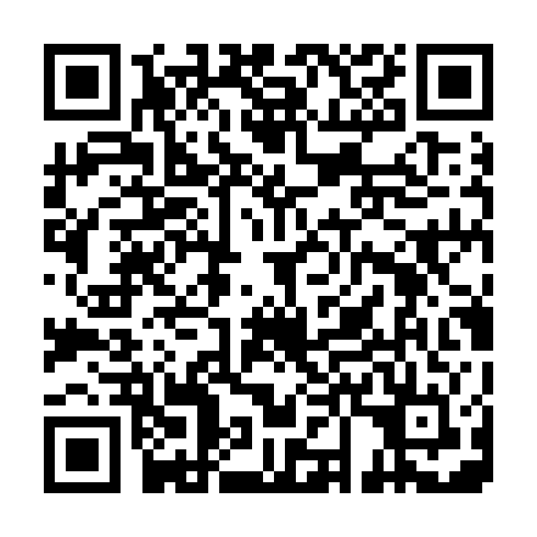 QR code for PMS 505