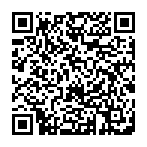 QR code for PMS 938