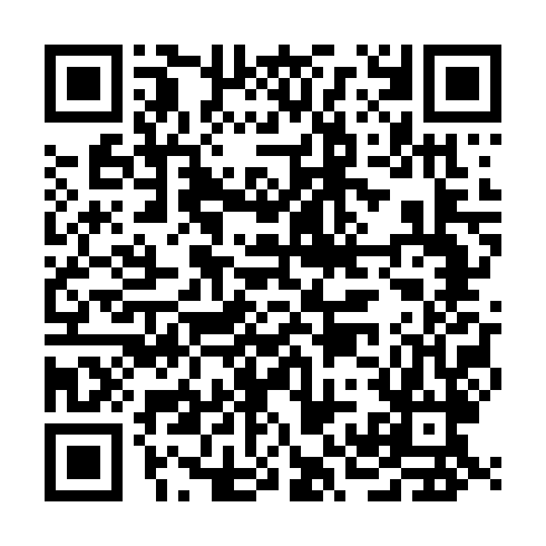 QR code for plate PNB 038