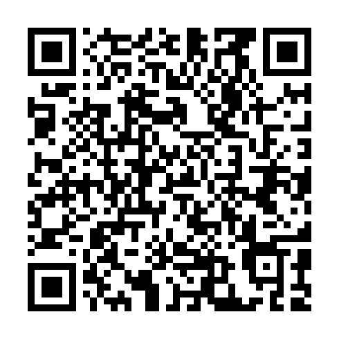 QR code for PNQ411