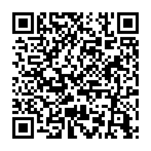 QR code for PNU 541