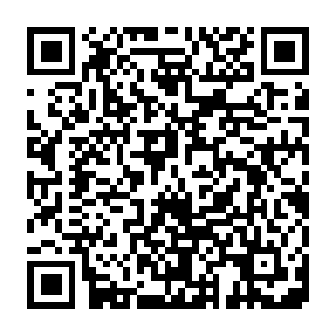 QR code for PNY 550