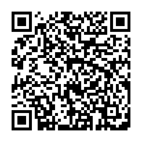 QR code for PNZ 595