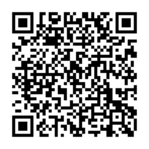 QR code for plate PNZ 383