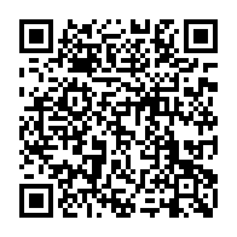 QR code for POO976