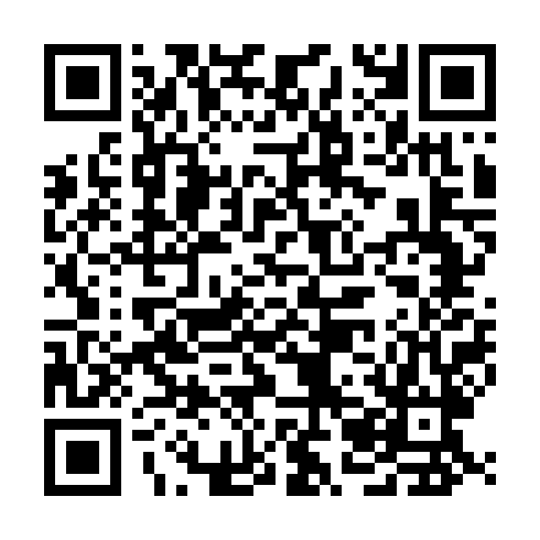 QR code for POU 313