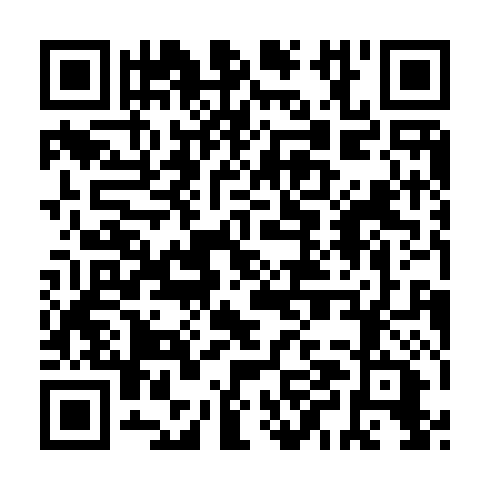 QR code for PPA 133