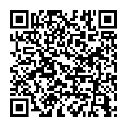 QR code for PPF 919