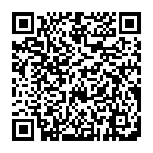 QR code for plate PPG 985