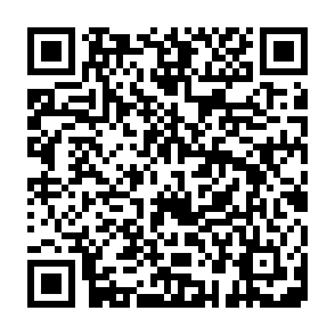 QR code for PPP 370