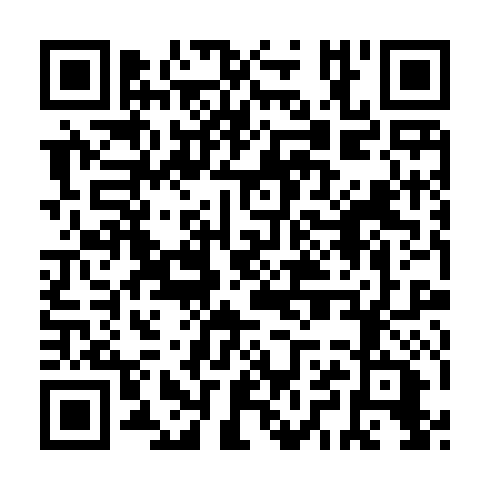 QR code for PPP 386