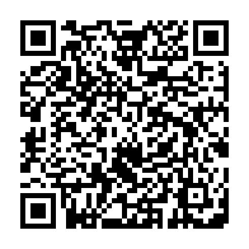 QR code for PPZ 539