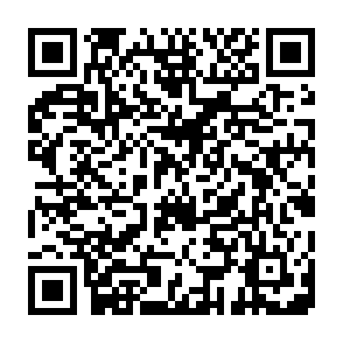 QR code for PTU 333