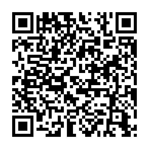 QR code for plate PUN 033