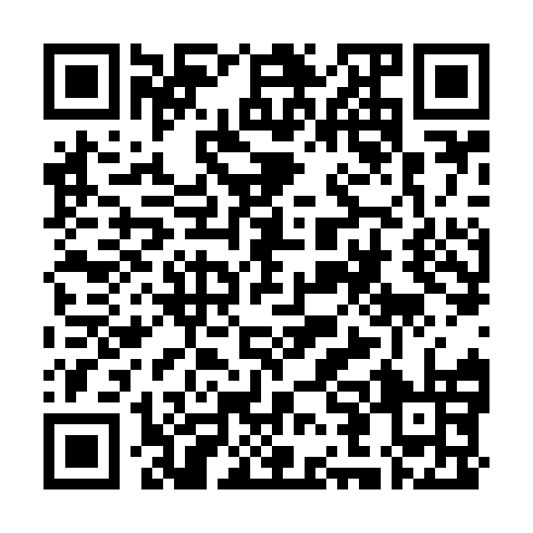 QR code for PUZ 953