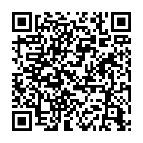 QR code for PYG 868