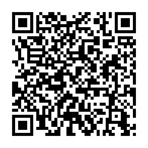 QR code for plate PYK 875
