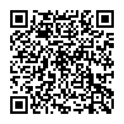 QR code for PYS 955