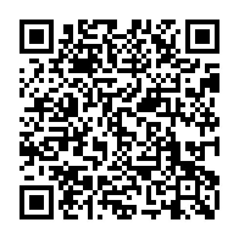 QR code for PYT 539
