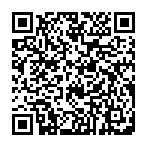 QR code for PYU 385