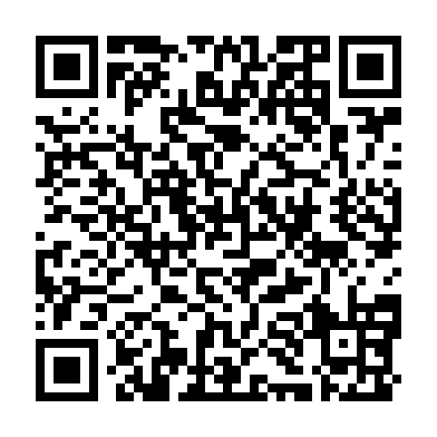 QR code for PYZ 401