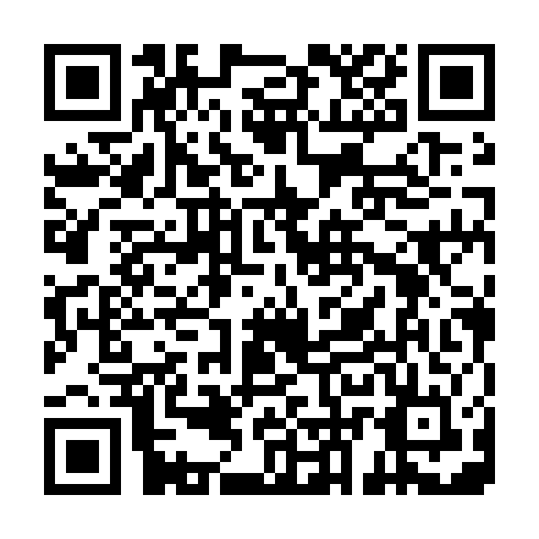 QR code for plate PZL 163